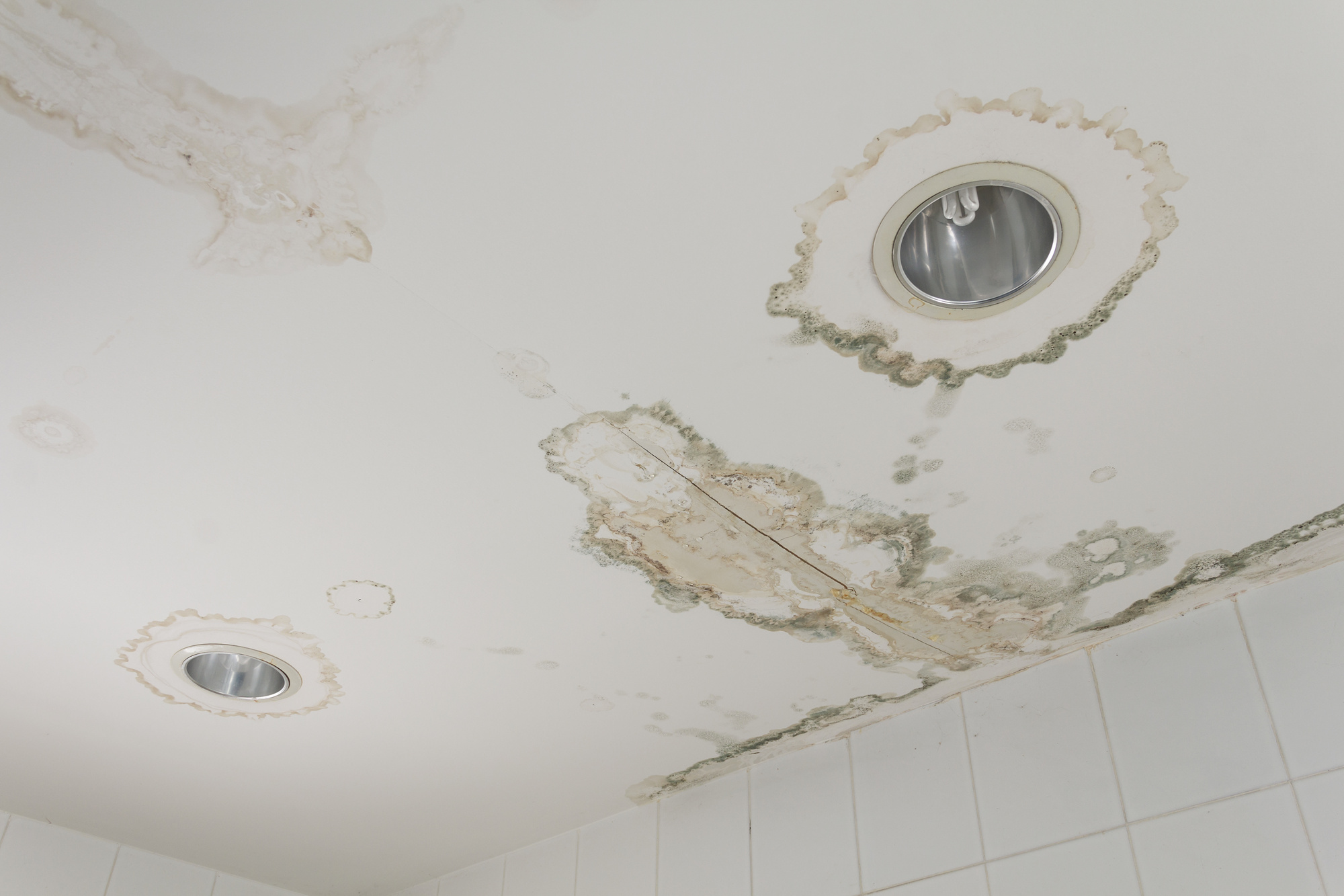 Roof Leak Guide